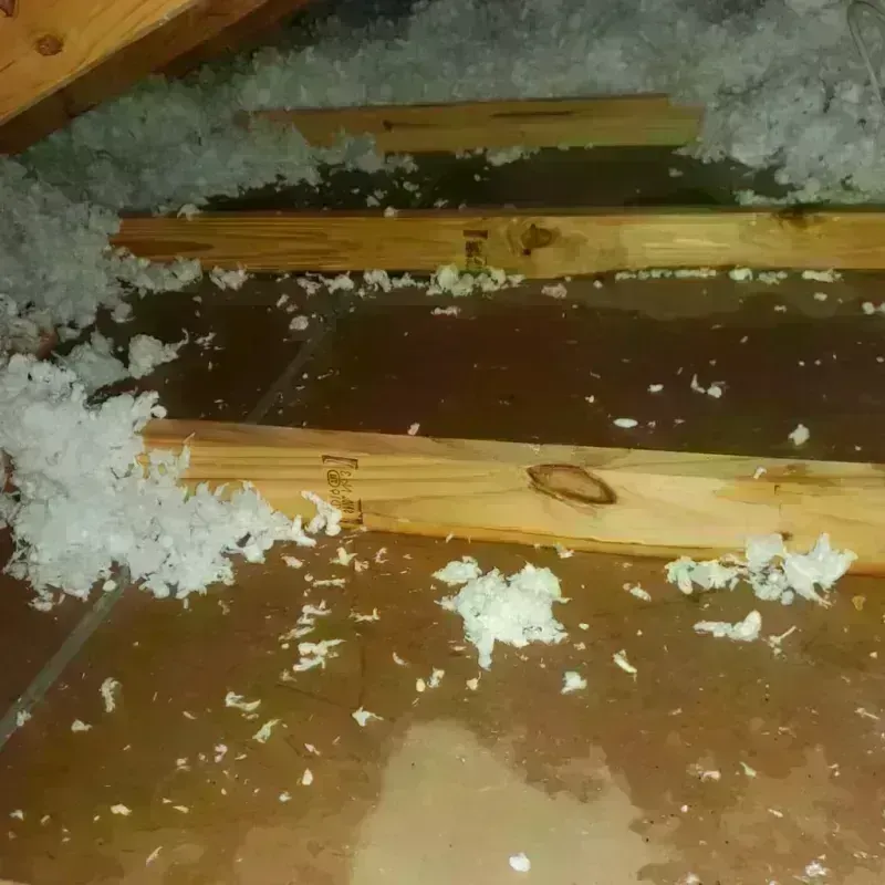 Attic Water Damage in Meridianville, AL